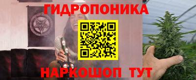 Альфа ПВП Ставрополь