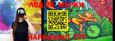 Альфа ПВП Ставрополь