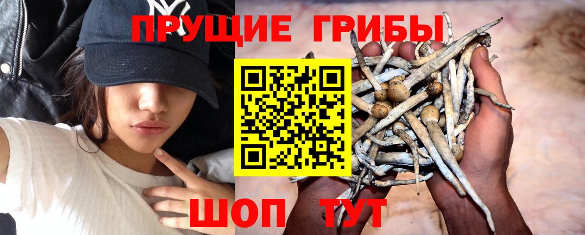 Псилоцибиновые грибы Magic Shrooms Соль-Илецк